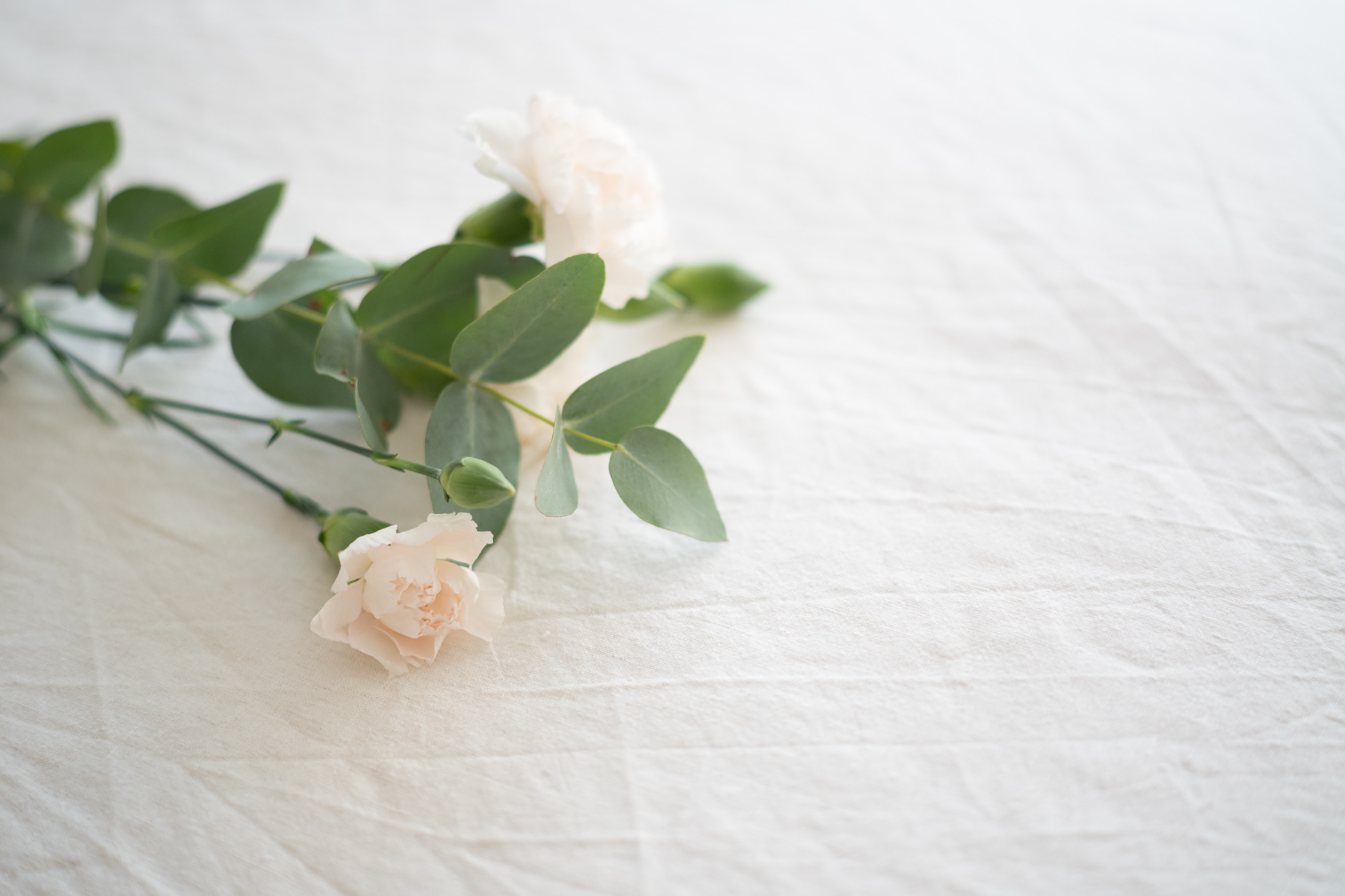 Funeral Image