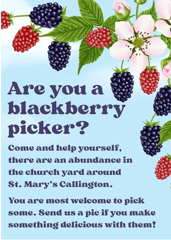 Blackberries