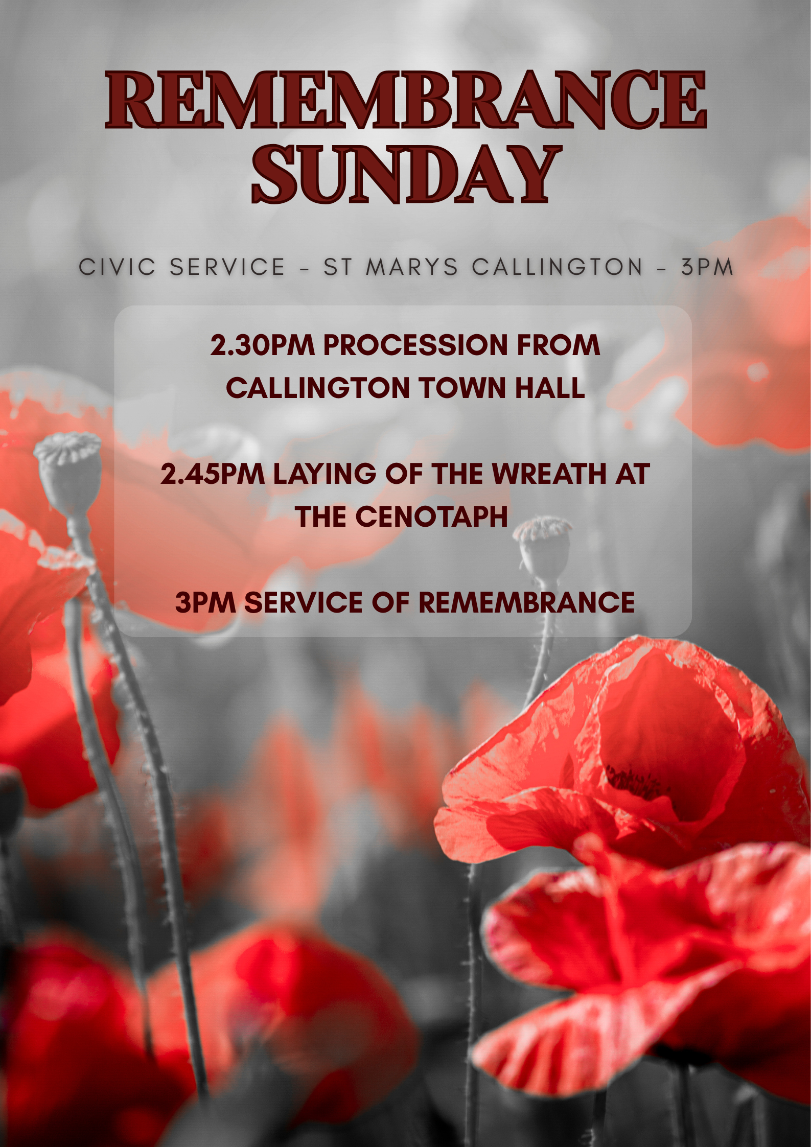 Remembrance Sunday 9th Nov 202