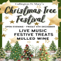 St Mary's Christmas Tree Festival Opening Evening